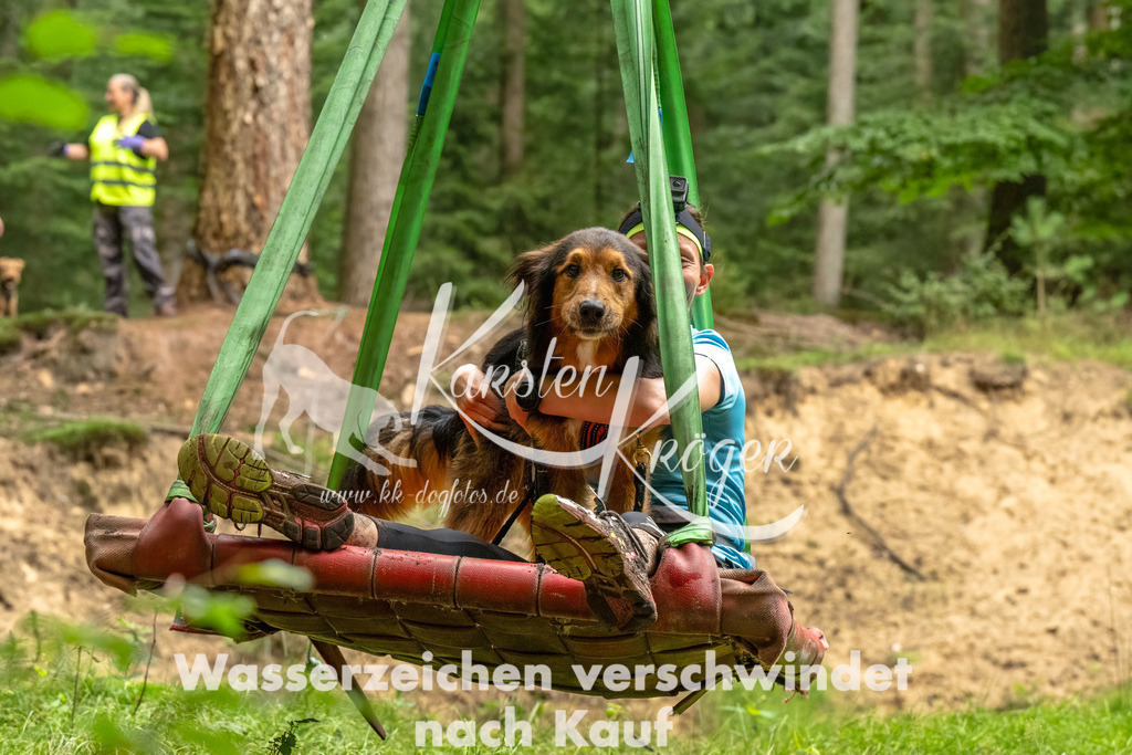 1316_ZZ92378-Bearbeitet | kk-dogfotos