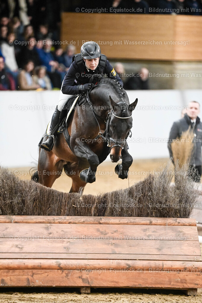 20260307_Hengstvorstellung-Marbach_0451 | equistock