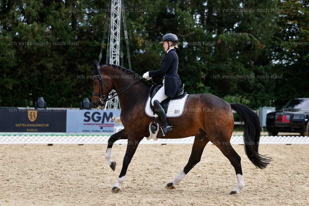 11-091-Dressur S___-StoibPH-1280 | working equitationturnier fotograf videograf stoibphotography marixx film working equitation deutschland reitsport turnierfotografie eventfotografie equestrian events