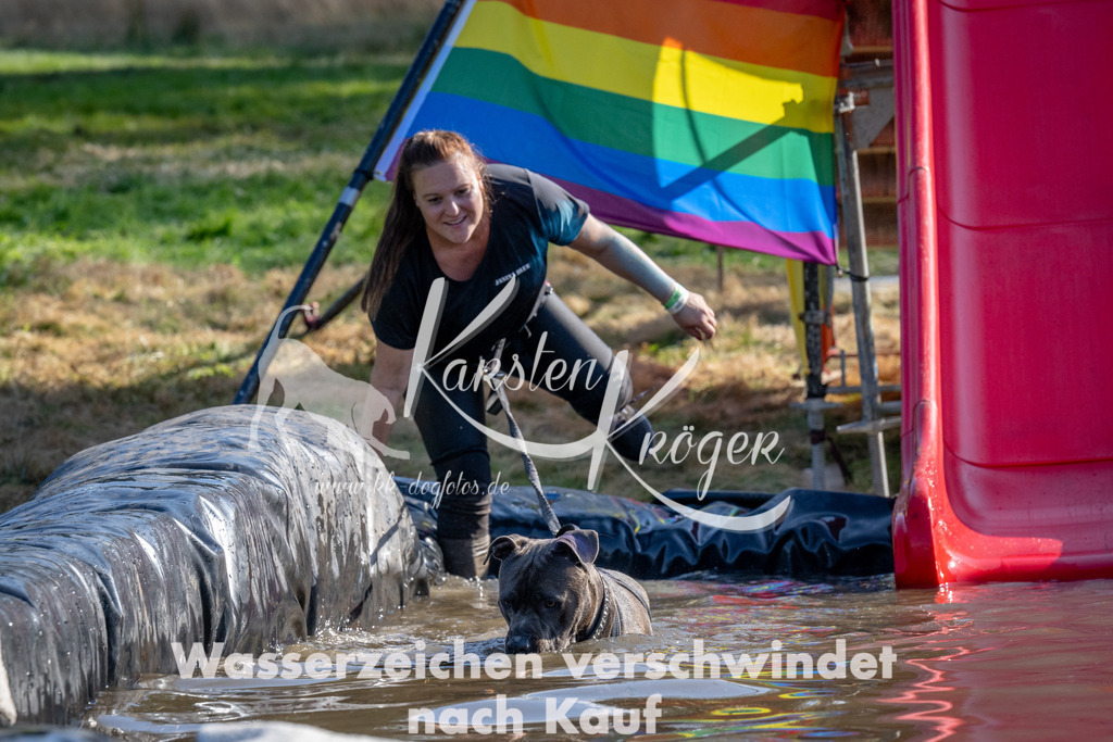 1636_ZZ90259 | kk-dogfotos