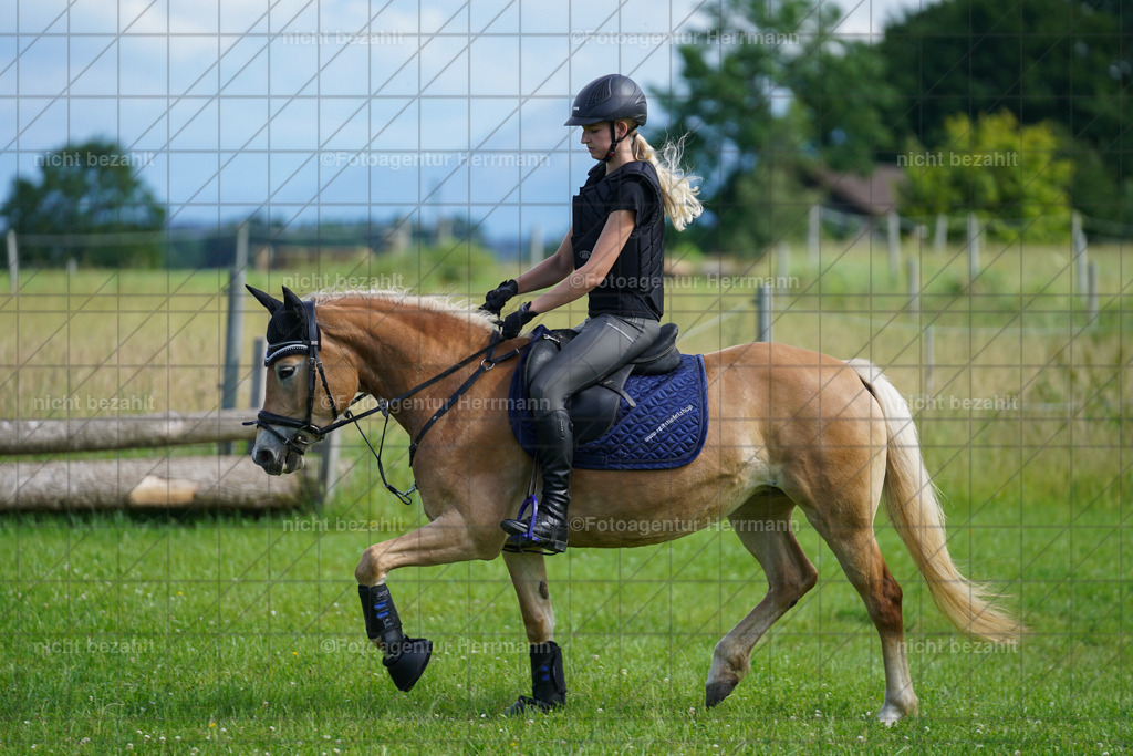 20240622-FAH07895 | Turnierfotografen Bayern, Reitsportbilder aus dem Geländekurs mit Felix Etzel auf dem Gut Waitzacker 2024