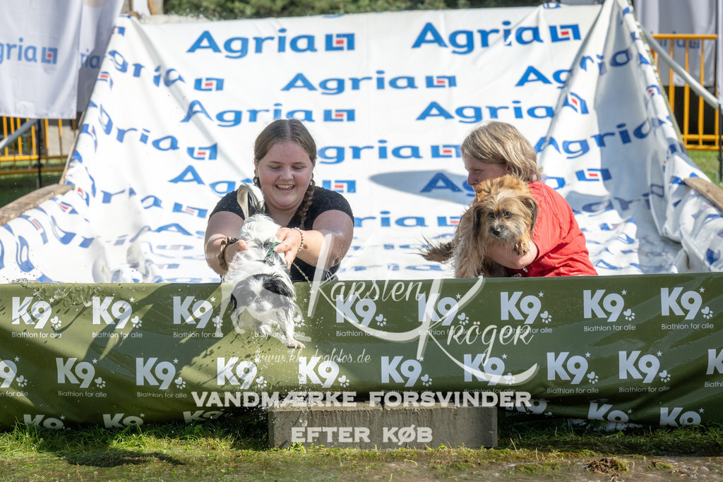 1136_ZZ93006 | kk-dogfotos