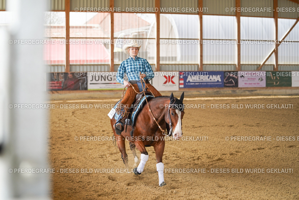 DSC02788 | Pferdegrafie