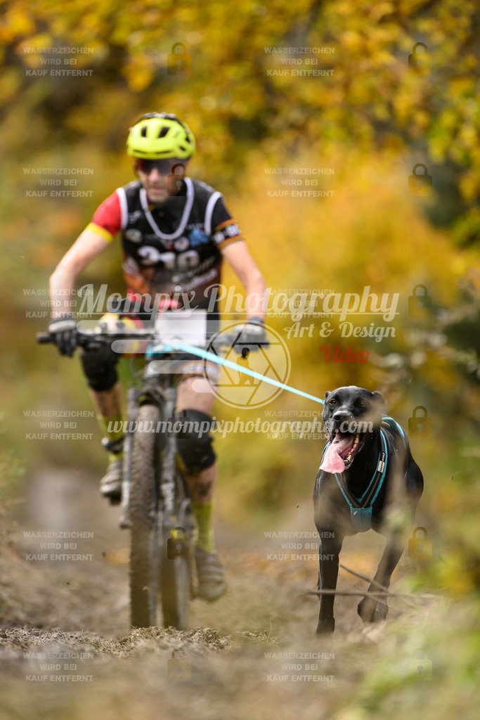 MompixPhotography_ICF_WC_2024_SA_Bike_-361 | PayLife