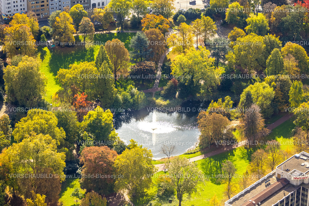 Essen251003370Mitte | Luftbild, Fontäne und See im Gegenlicht im Stadtgarten mit herbstlichen Bäumen, Südviertel, Essen, Ruhrgebiet, Nordrhein-Westfalen, Deutschland