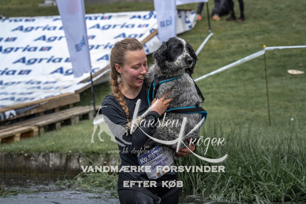 1150_ZZ94020 | kk-dogfotos