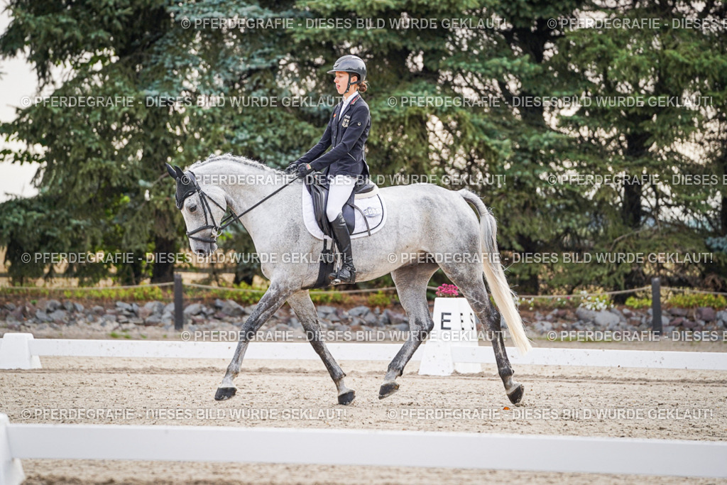 DSC00075 | Pferdegrafie