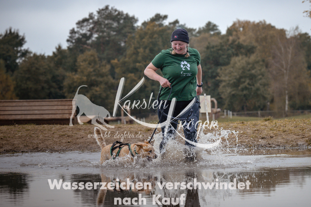 1331_ZZ94169 | kk-dogfotos