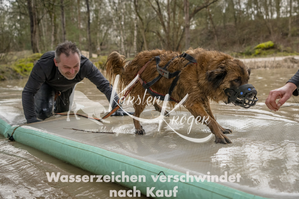 1338_ZZ90271-Bearbeitet | kk-dogfotos