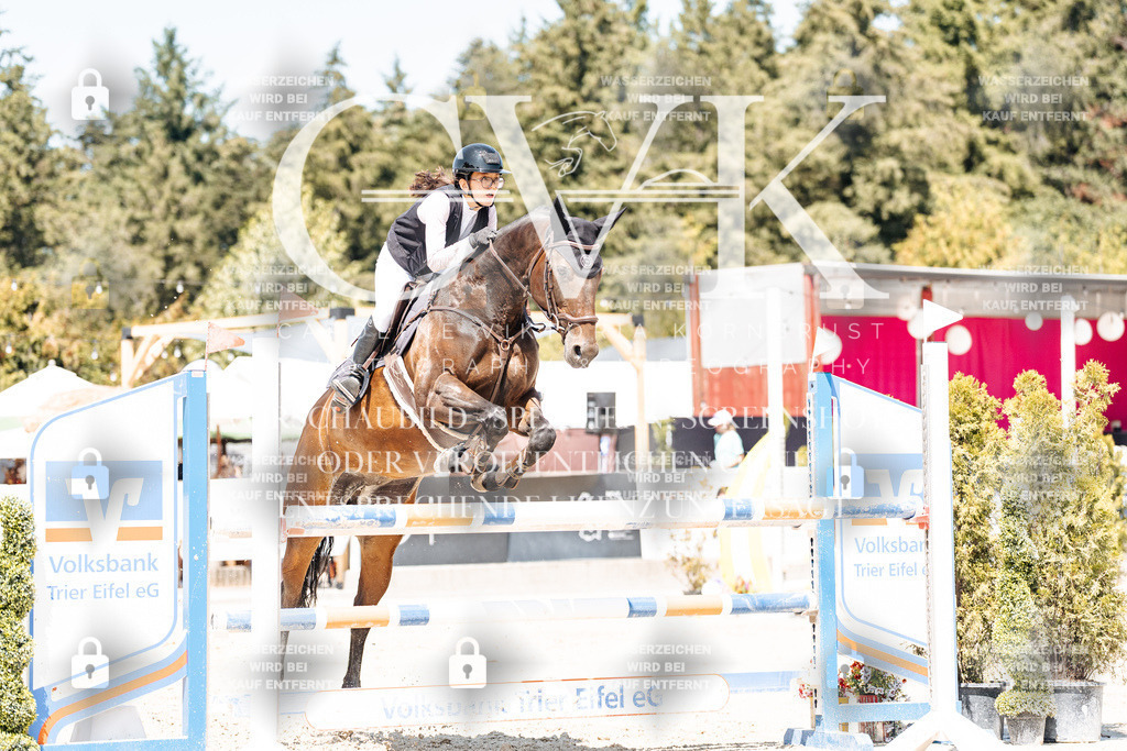 CK900412 | Turnierfotografie Pferdefotografie Trier Rheinland-Pfalz Pferdesport Reitsport Tierfotografie Sportfotografie Pferdevideo Pferdevideografie Equestrianvideography equestrianphotography  - Realisiert mit Pictrs.com