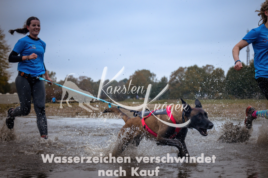 1229_ZZ90147 | kk-dogfotos