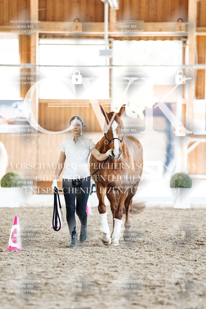 CK907636 | Turnierfotografie Pferdefotografie Trier Rheinland-Pfalz Pferdesport Reitsport Tierfotografie Sportfotografie Pferdevideo Pferdevideografie Equestrianvideography equestrianphotography  - Realisiert mit Pictrs.com