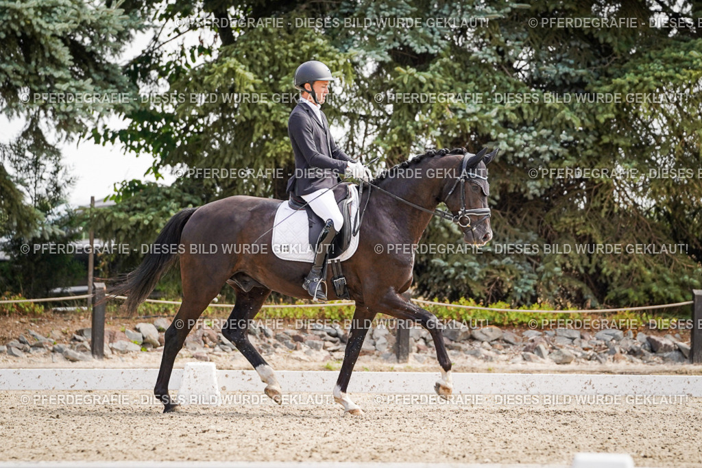 DSC00089 | Pferdegrafie