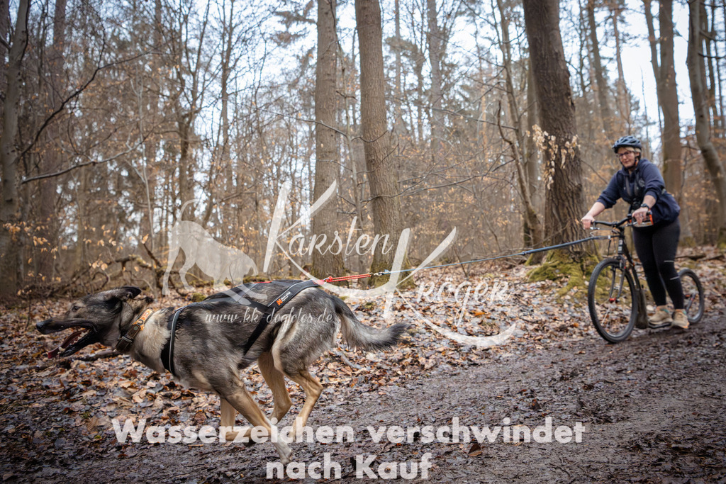 0901_ZZ95031 | kk-dogfotos