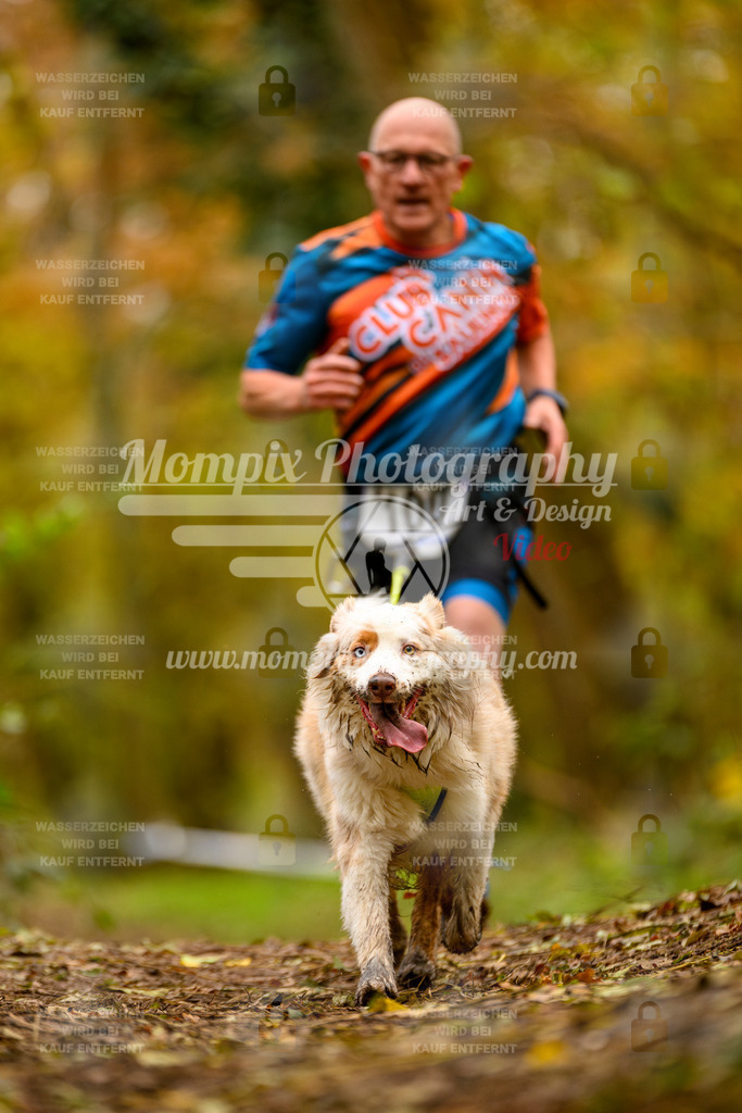 MompixPhotography_Bischwiller24_SA_Canicross-181 | PayLife