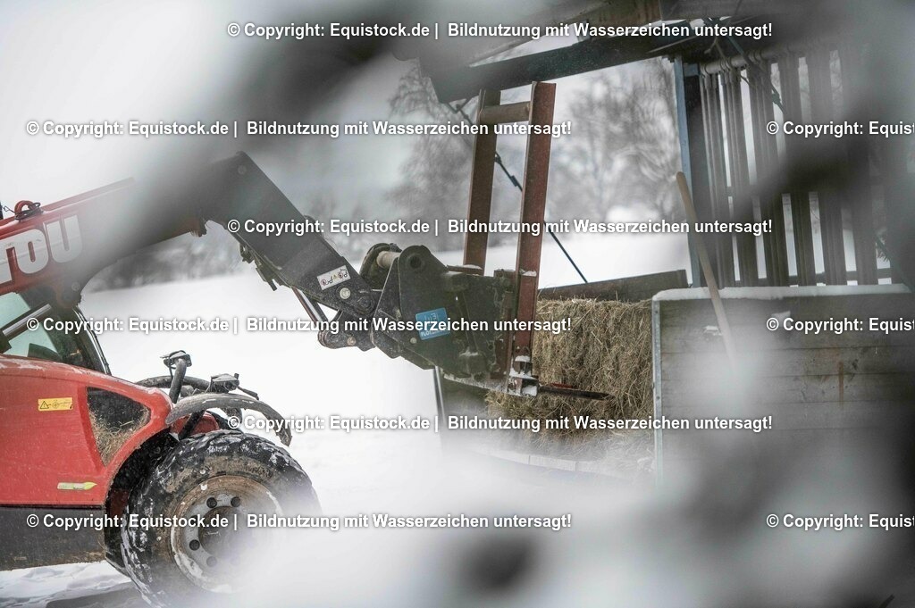 20210210_Hoflader_0008 | equistock