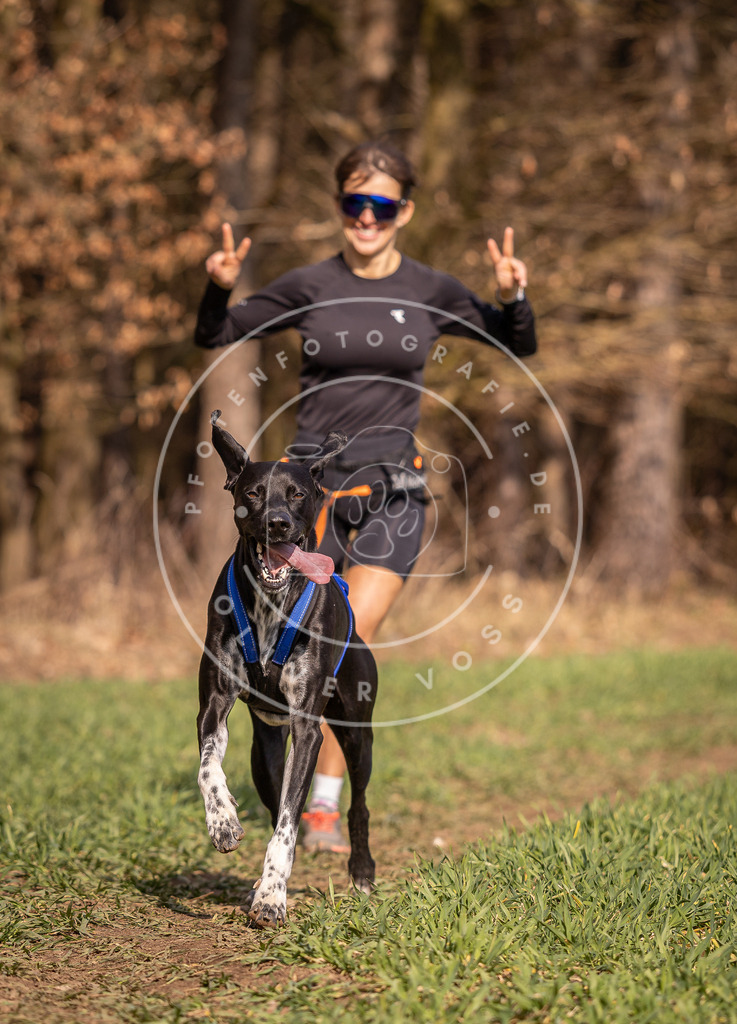 DV3A6370 | Hundefotografie, Tierfotograf, Pfotenfotografie, Fotoshooting Hund, Hunde Portrait, Hundesport, Hundeportraits, Heideshooting, Hunde, Sportfotograf, Hundefotograf, Turnierhundsport, THS,  - Realisiert mit Pictrs.com