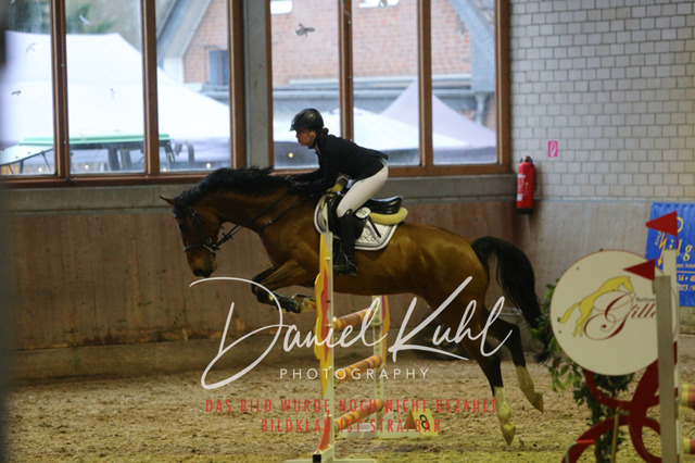 IMG_0795 | Deine Turnierfotos vom Reitturnier online kaufen: Dressur, Springen & Siegerehrung. Professionelle Pferdefotografie aus dem Rheinland – als Download & Print.Alternative: Turnierfotograf für den Pferdesport: Finde deine Fotos von Dressur- und Springturnier