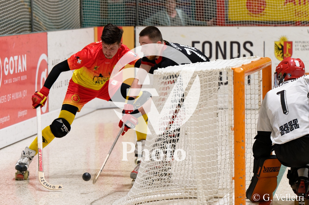 DSC_1881 | Velletri Photo