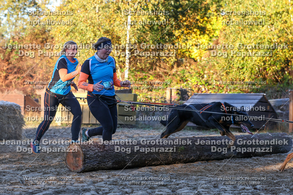 Dog Paparazzi - Strongdog 10-25-622 | Dog Paparazzi Jeanette Grottendiek Fotografie & Videografie - Realisiert mit Pictrs.com