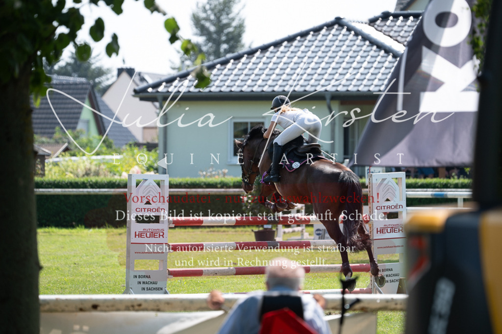 DSC_0597 | Pferde- und Turnierfotografie in Westsachsen. Pferdeportraits, Auftragszeichnungen und intuitive Kunst.