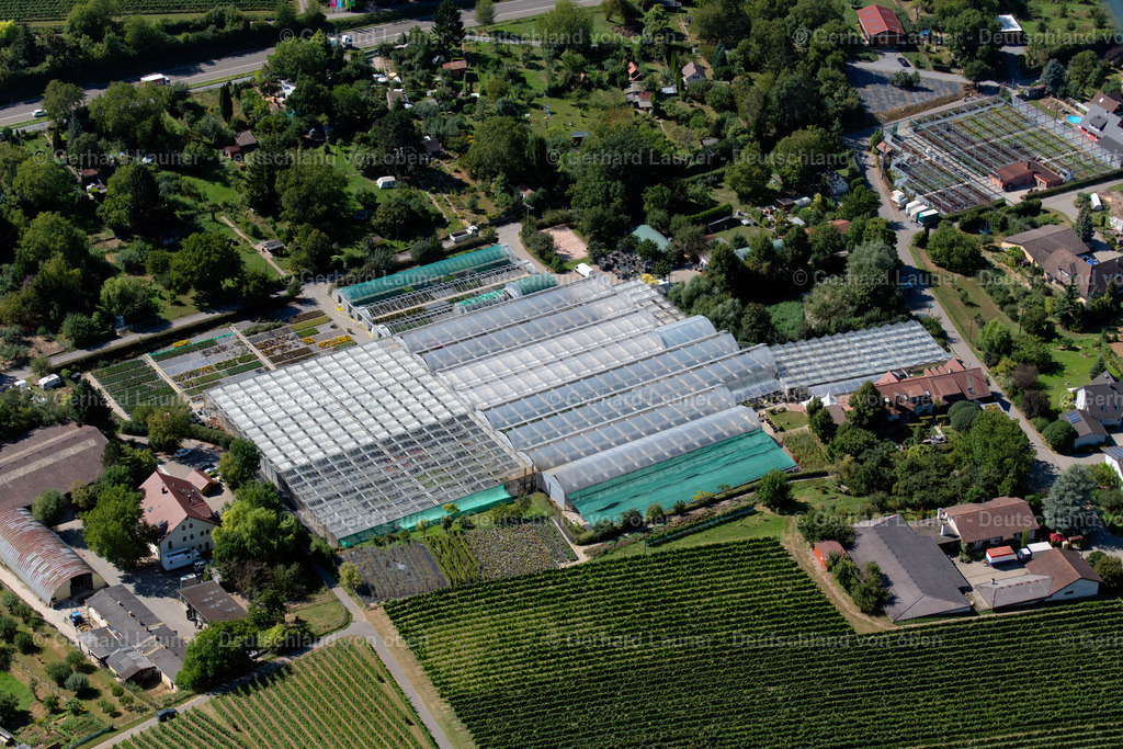 3902703 | Bioland Gärtnerei Umbach-Goji, Heilbronn