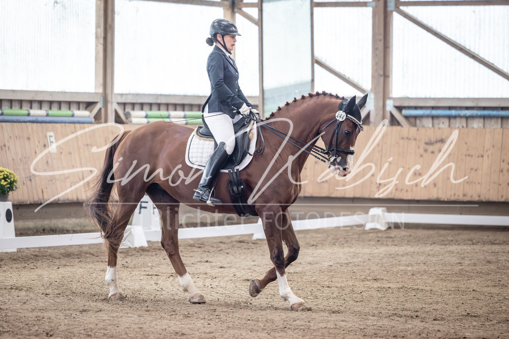 20251011-_3LI1031 | Tierfotografie Pferde, Hunde, Katzen, Haustiere.
Turnierfotografie Reitturniere, Reiten, Springreiten, Dressur in Hanau, dem Main-Kinzig-Kreis und dem Rhein-Main- Gebiet um Frankfurt