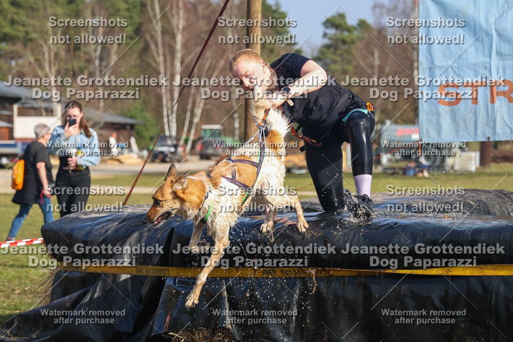 Dog Paparazzi - Strongdog North Mrz26-2585 | Dog Paparazzi Jeanette Grottendiek Fotografie & Videografie - Realisiert mit Pictrs.com