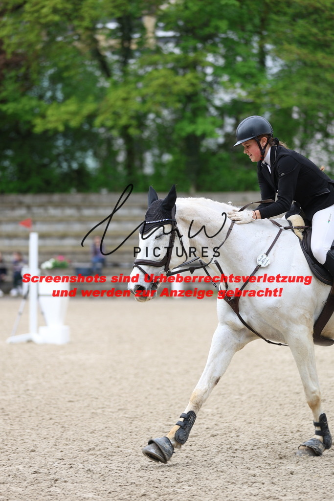 A40A1197 | lmwpictures - Realisiert mit Pictrs.com