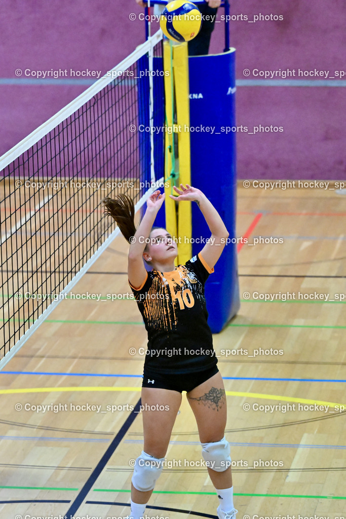ASKÖ Volley Eagles Villach vs. VC Hausmannstätten | #10 СЕНІС Еlwira ASKÖ Volley Eagles Villach, ASKÖ Volley Eagles Villach vs. VC Hausmannstätten, ASKÖ Volley Eagles Villach vs. VC Hausmannstätten am 01.02.2025 in Villach (Ballspielhalle Lind), Austria, (Photo by Bernd Stefan)