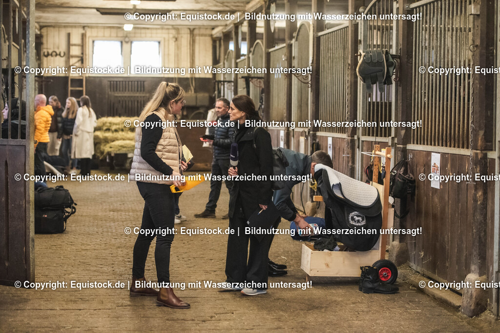 20240302_Hengstvorstellung_Marbach_TOMsPiC_0035 | equistock