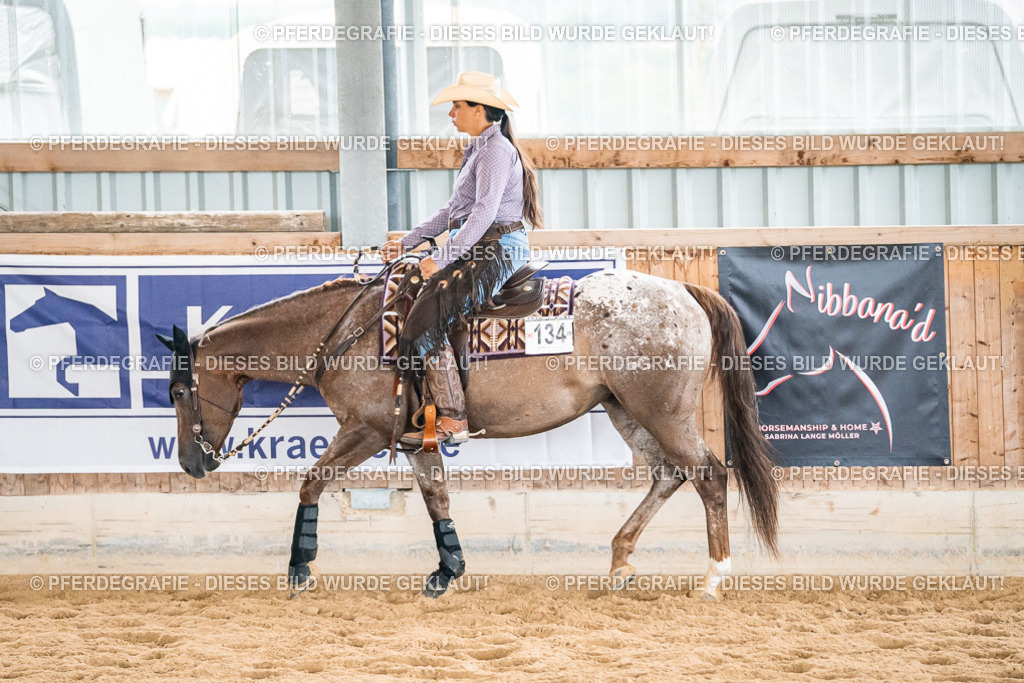 DSC00579 | Pferdegrafie