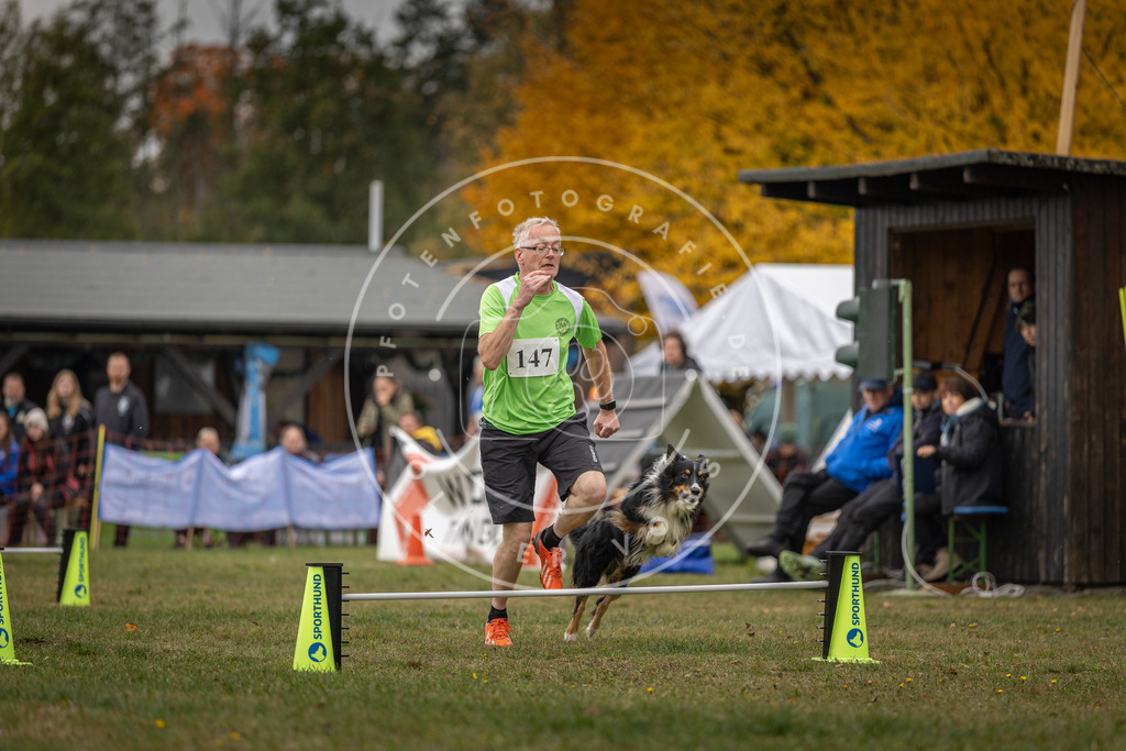 Pfotenfotografie_DV3A6215 | Hundefotografie, Tierfotograf, Pfotenfotografie, Fotoshooting Hund, Hunde Portrait, Hundesport, Hundeportraits, Heideshooting, Hunde, Sportfotograf, Hundefotograf, Turnierhundsport, THS,  - Realisiert mit Pictrs.com