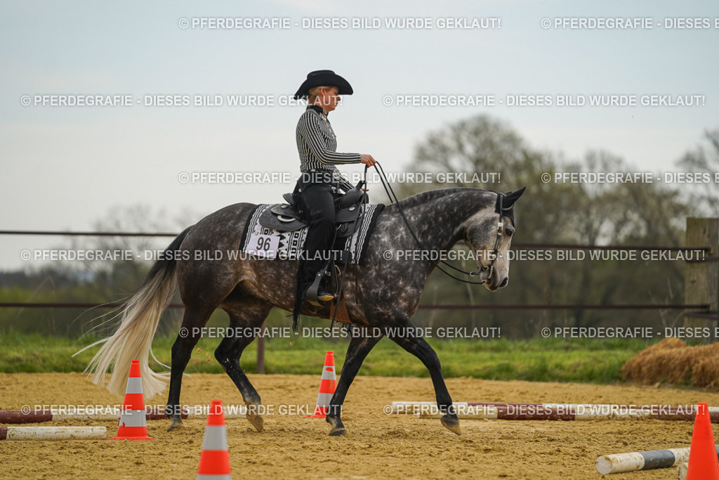 DSC02404 | Pferdegrafie