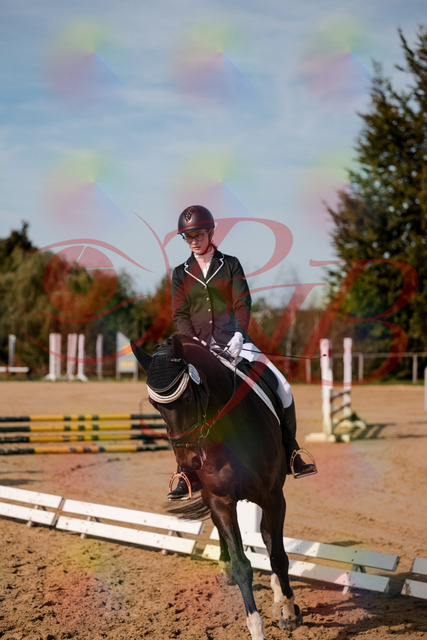 2026_10_03_Siefer-Hof_132021_Z63_80730329 | Professionelle Reitsport-, Turnier- und Eventfotografie von Robert Broda. Galerien mit ausgewählten und bearbeiteten Bildern direkt online ansehen und bestellen.