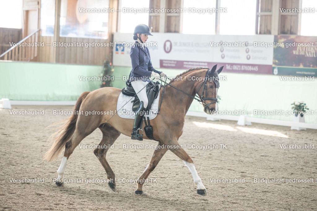 _D5A0605 | Emotionale Pferde- & People-Fotografie rund um Heidelberg, Leimen & Umgebung. Natürliche Fotos von Pferd, Mensch & Familie. Jetzt Termin sichern!