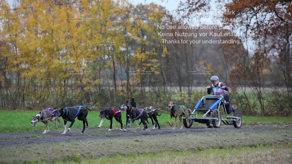 Visbeck_Sa_D4_6-65 | stephaniefillaphotographie - Realisiert mit Pictrs.com