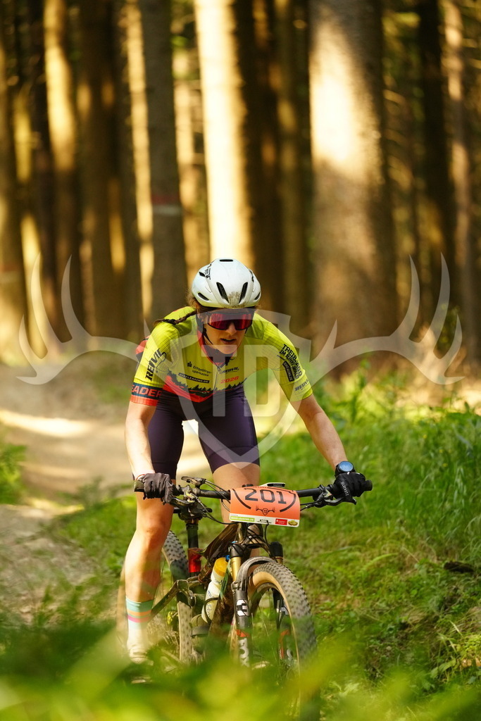 FC102779 | Fotogalerie der Treibjagd im Dunkelwald - Dein MTB Etappenrennen im Erzgebirge - Realisiert mit Pictrs.com