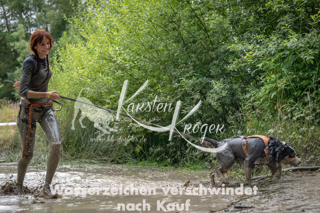 1437_ZZ92438 | kk-dogfotos