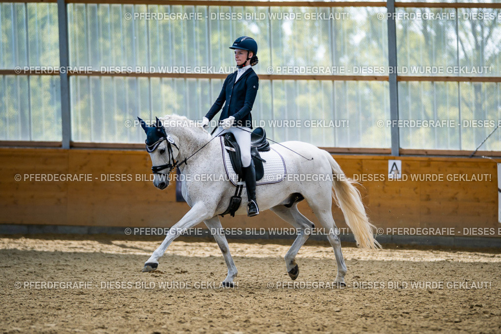 DSC05510 | Pferdegrafie