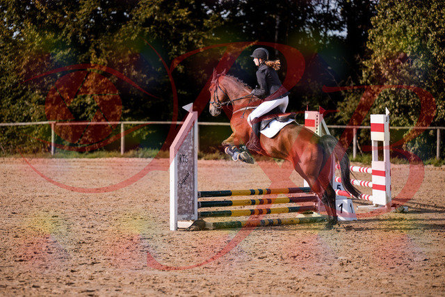 2026_10_03_Siefer-Hof_161012_Z81_89483014 | Professionelle Reitsport-, Turnier- und Eventfotografie von Robert Broda. Galerien mit ausgewählten und bearbeiteten Bildern direkt online ansehen und bestellen.