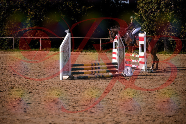 2026_10_03_Siefer-Hof_155959_Z81_80342100 | Professionelle Reitsport-, Turnier- und Eventfotografie von Robert Broda. Galerien mit ausgewählten und bearbeiteten Bildern direkt online ansehen und bestellen.