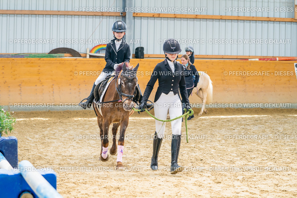 DSC00627 | Pferdegrafie