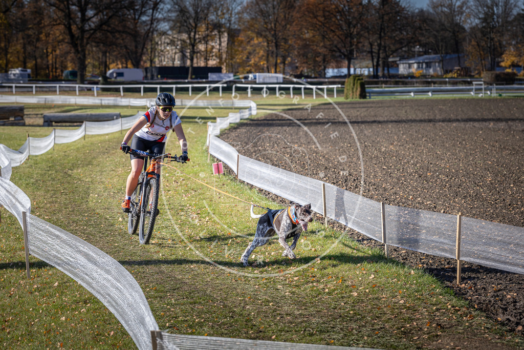 CaniXpix_DV3A7253 | Hundefotografie, Tierfotograf, Pfotenfotografie, Fotoshooting Hund, Hunde Portrait, Hundesport, Hundeportraits, Heideshooting, Hunde, Sportfotograf, Hundefotograf, Turnierhundsport, THS,  - Realisiert mit Pictrs.com