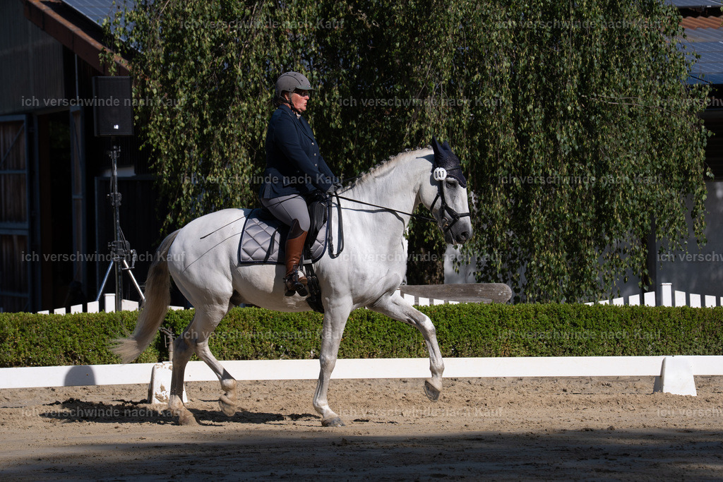 WL_DR_47_sinafilmart_IN06299 | working equitationturnier fotograf videograf stoibphotography marixx film working equitation deutschland reitsport turnierfotografie eventfotografie equestrian events