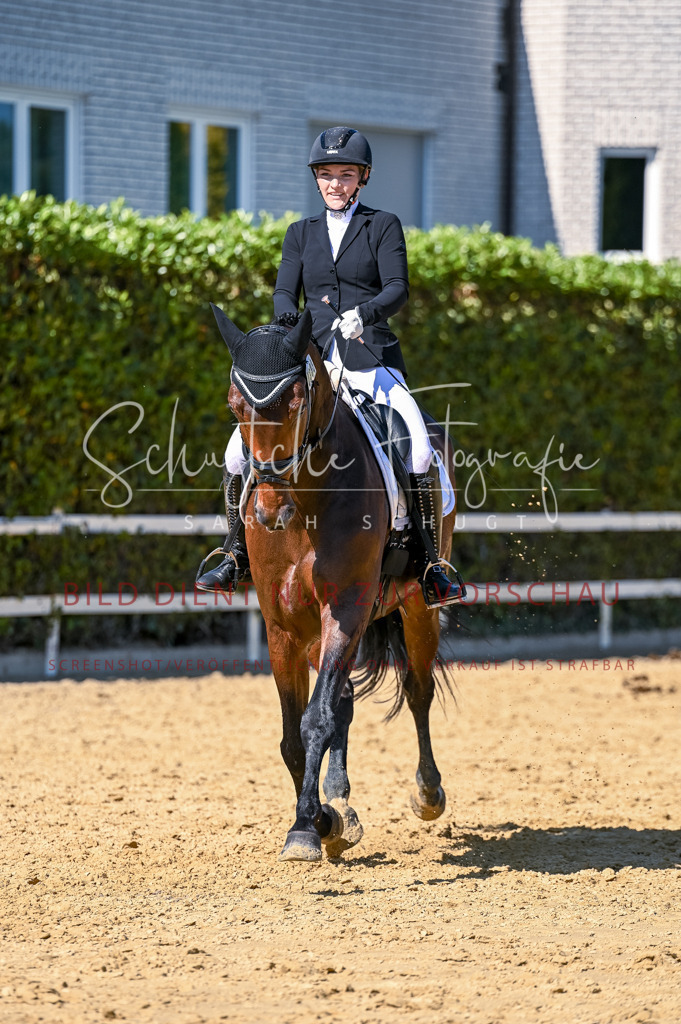 Schugtsche-Aluta25-50.Dressurpferdeprf.L-163 | Schugtsche Fotografie - Realisiert mit Pictrs.com