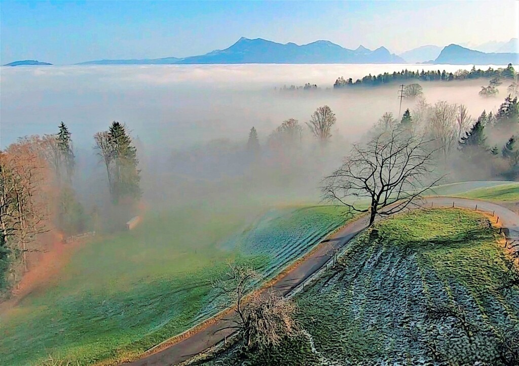 Nebelgrenze Krienseregg | huwimedia-fotografie - Realisiert mit Pictrs.com