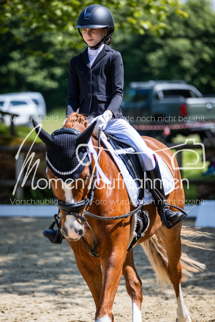 Donop24-RWB-070 | MomenTaufnahmen Pferdesportfotos