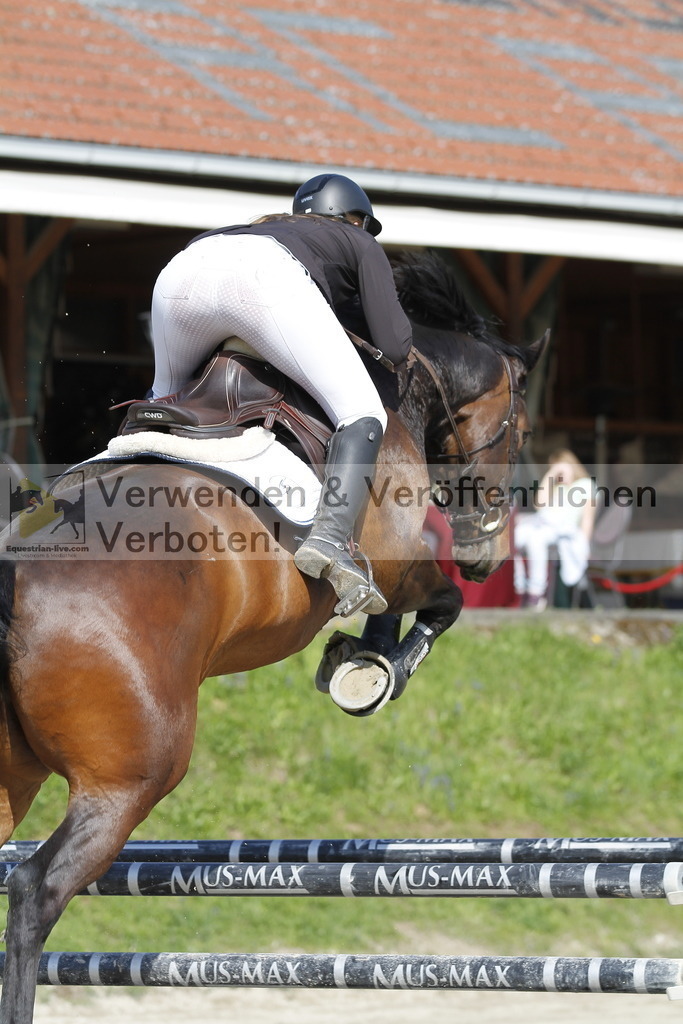 _MG_9162 | equestrian-live-com