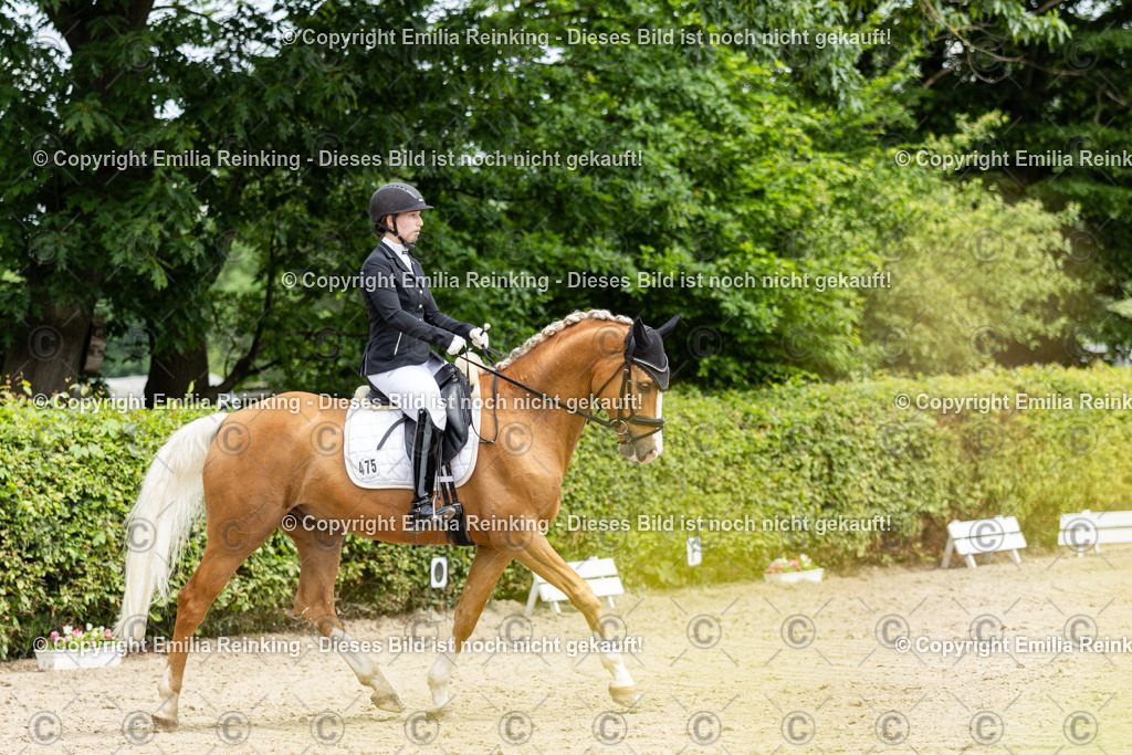 CL5A0111 | Emilia Reinking Fotografie - Realisiert mit Pictrs.com